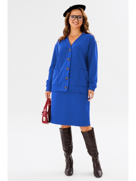 1195.1 василек