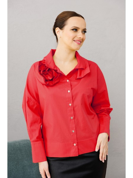 1204.1 красный