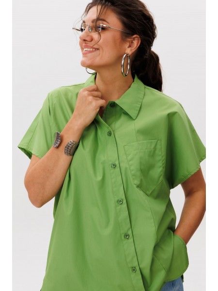 1618 зеленый кипарис