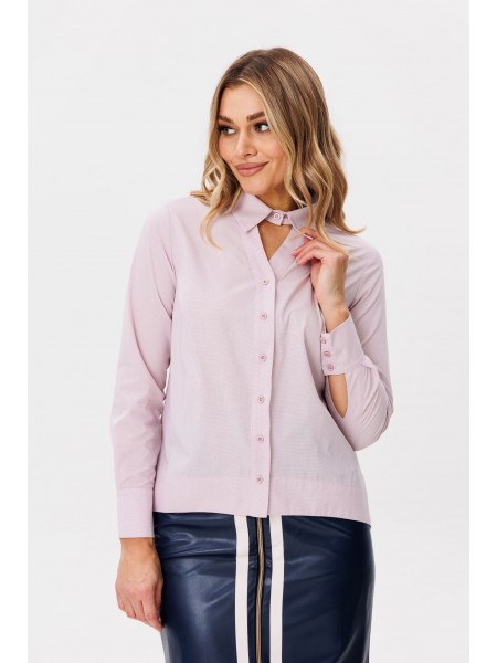 1713 шиповник